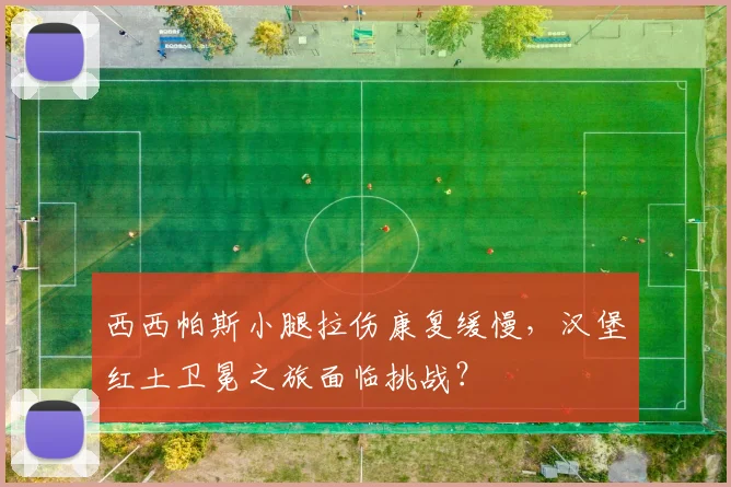 西西帕斯小腿拉伤康复缓慢，汉堡红土卫冕之旅面临挑战？