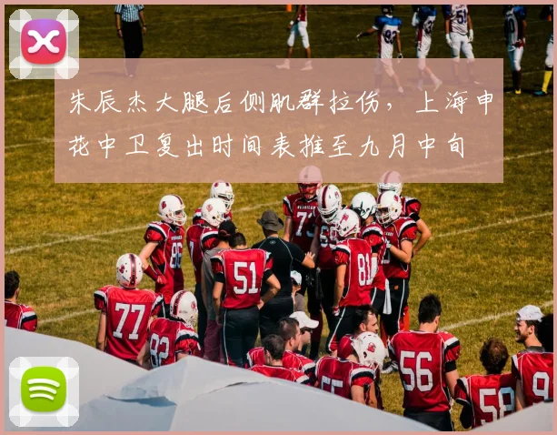 朱辰杰大腿后侧肌群拉伤,上海申花中卫复出时间表推至九月中旬